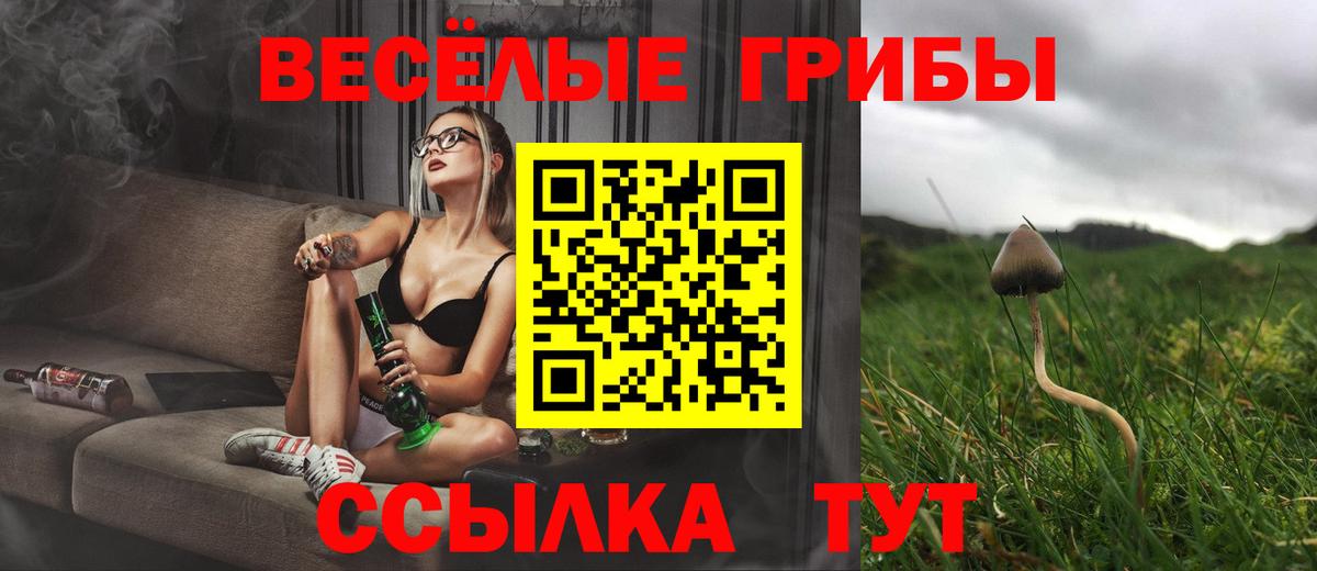 Нижний Новгород  Псилоцибиновые грибы MAGIC MUSHROOMS  Вход с VPN 
